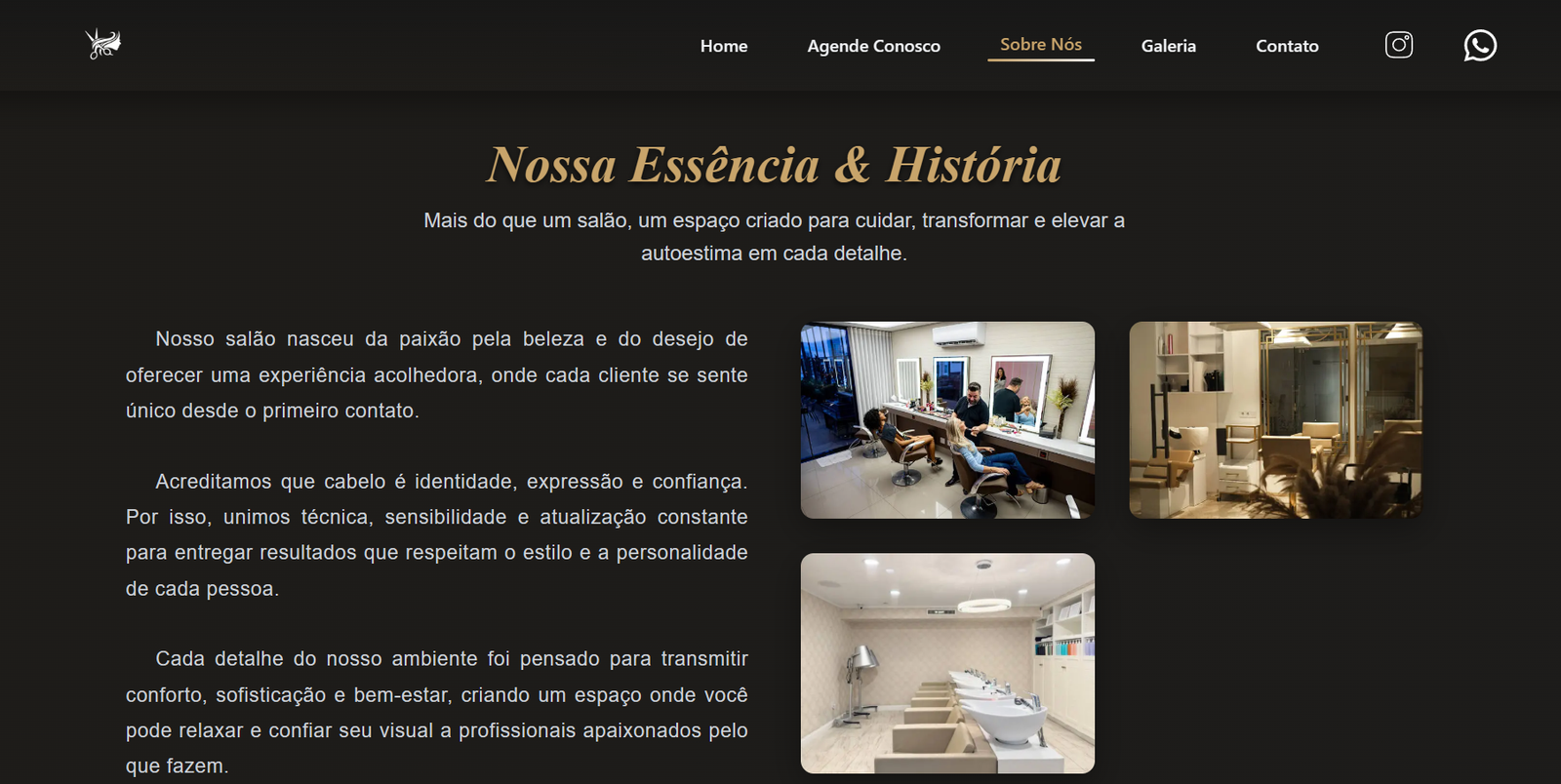 Imagem link para template salon